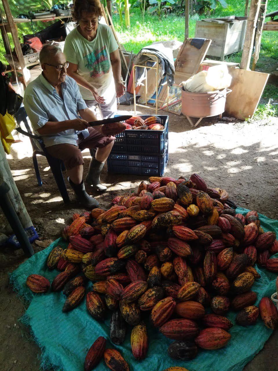 Our family with Colombian cacao in Acacías, Meta